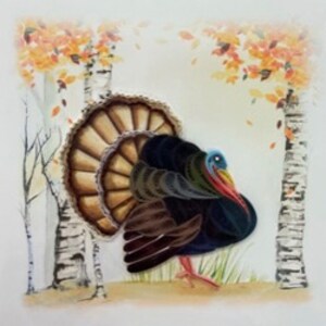 Quilling Cards